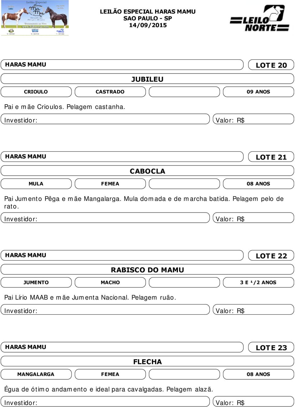 HARAS MAMU LOTE 22 RABISCO DO MAMU JUMENTO 3 E ¹/2 ANOS Pai Lírio MAAB e mãe Jumenta Nacional.