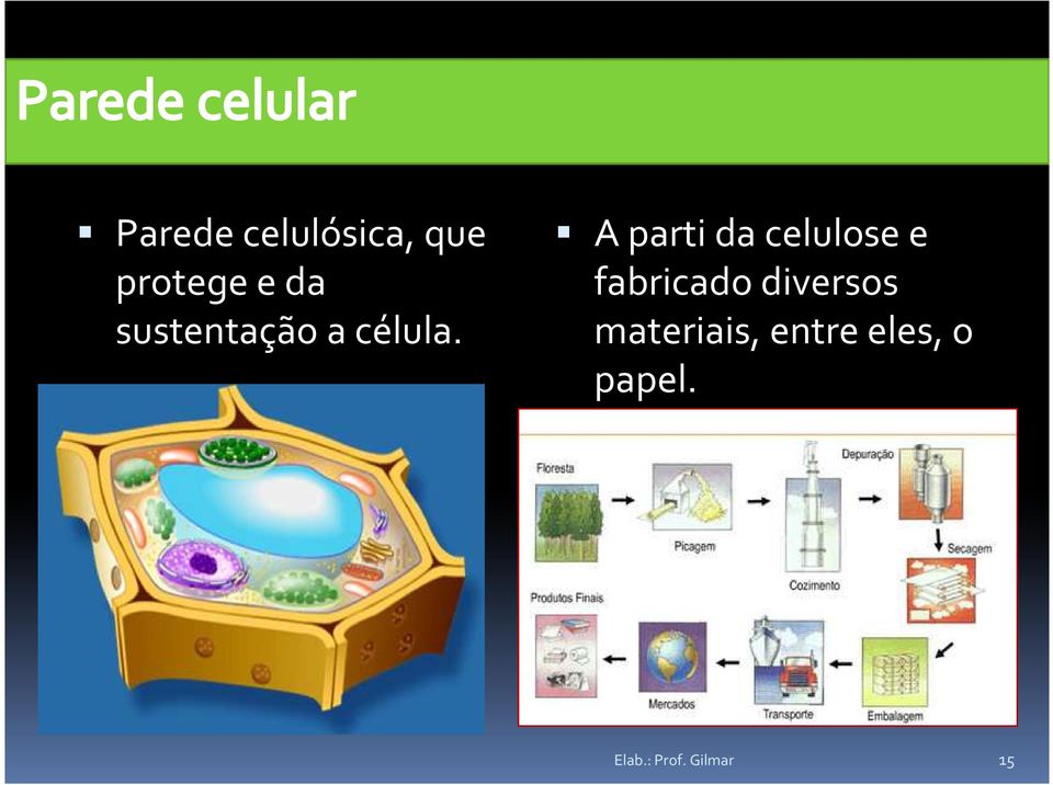 A parti da celulose e fabricado