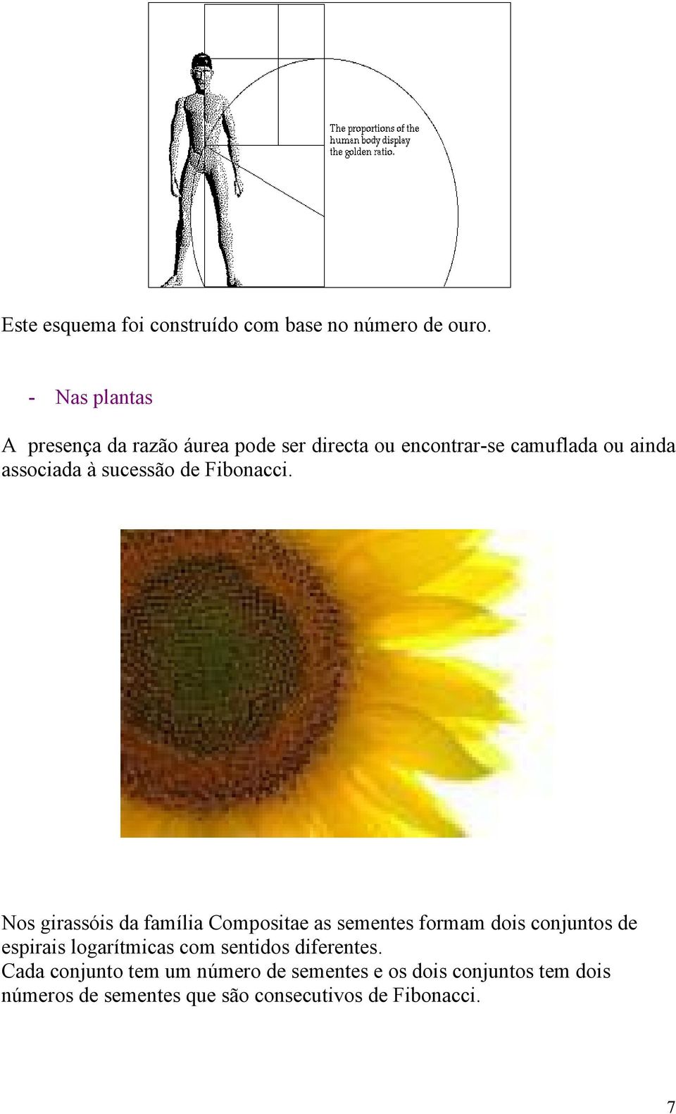 sucessão de Fibonacci.