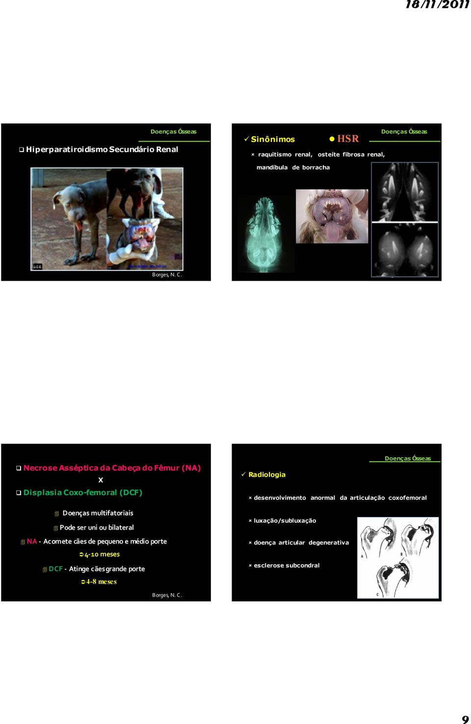 uni ou bilateral NA- Acomete cães de pequeno e médio porte 4-10 meses DCF- Atinge cães grande porte 4-8 meses Doenças Ósseas