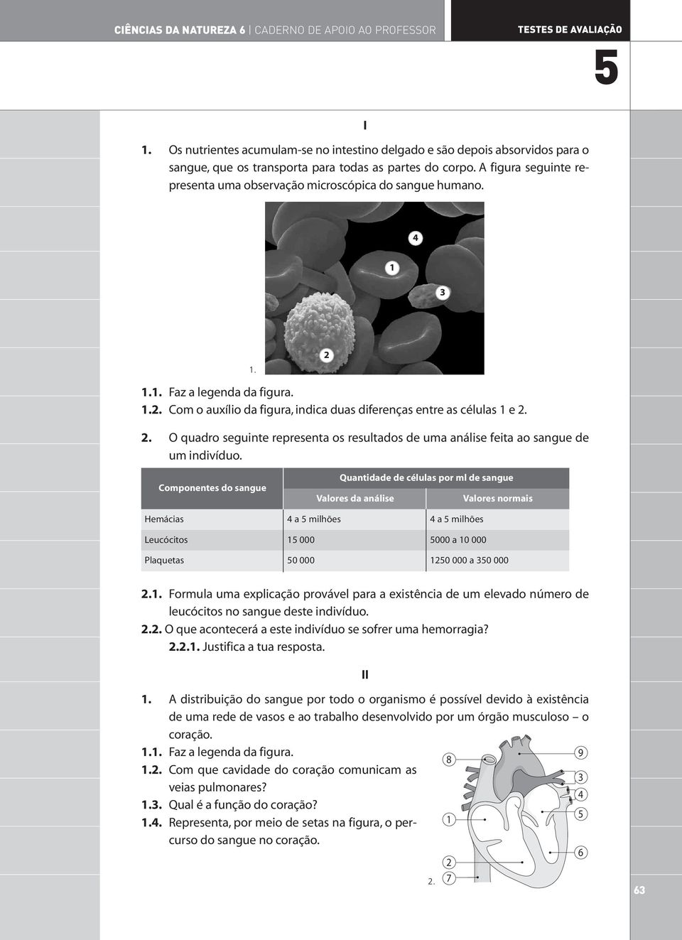 A figura seguinte representa uma observação microscópica do sangue humano.... Faz a legenda da figura... Com o auxílio da figura, indica duas diferenças entre as células e.