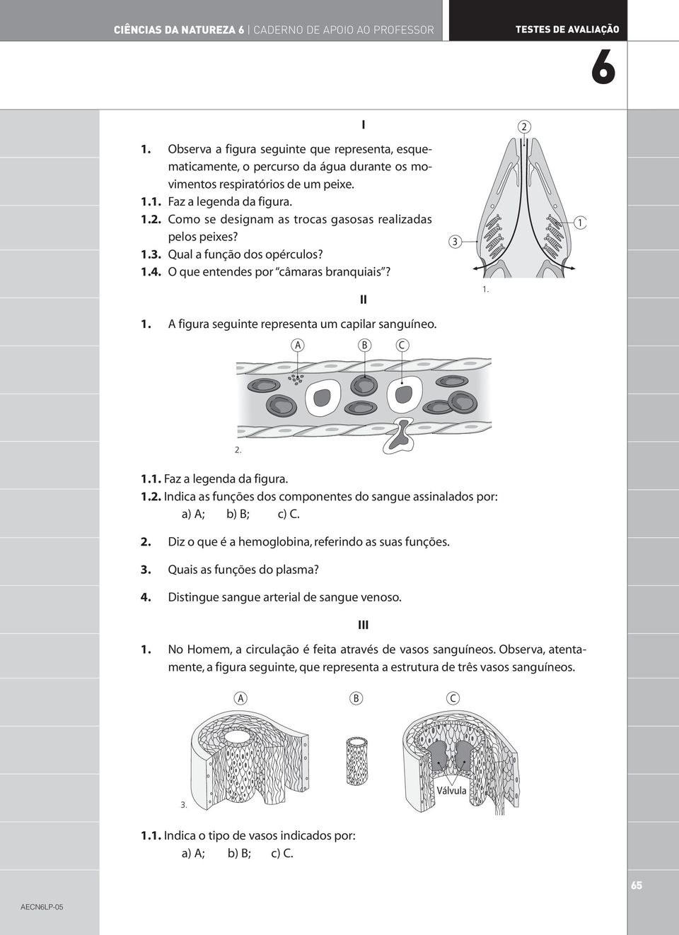 .. Como se designam as trocas gasosas realizadas pelos peixes?.. Qual a função dos opérculos?.. O que entendes por câmaras branquiais?. A figura seguinte representa um capilar sanguíneo. I II A B C.