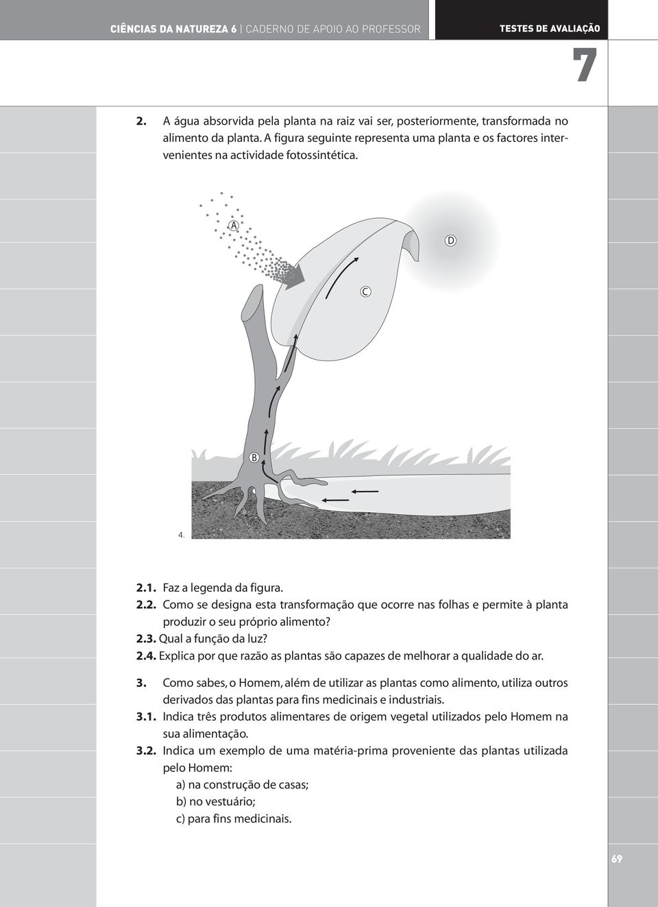 .. Como se designa esta transformação que ocorre nas folhas e permite à planta produzir o seu próprio alimento?.. Qual a função da luz?