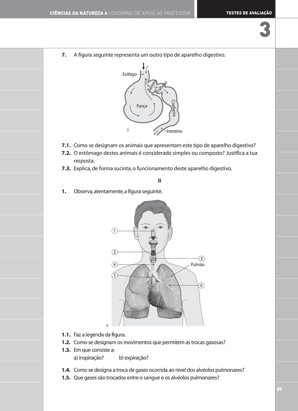 . Observa, atentamente, a figura seguinte. II Pulmão 6... Faz a legenda da figura... Como se designam os movimentos que permitem as trocas gasosas?.. Em que consiste a: a) inspiração?