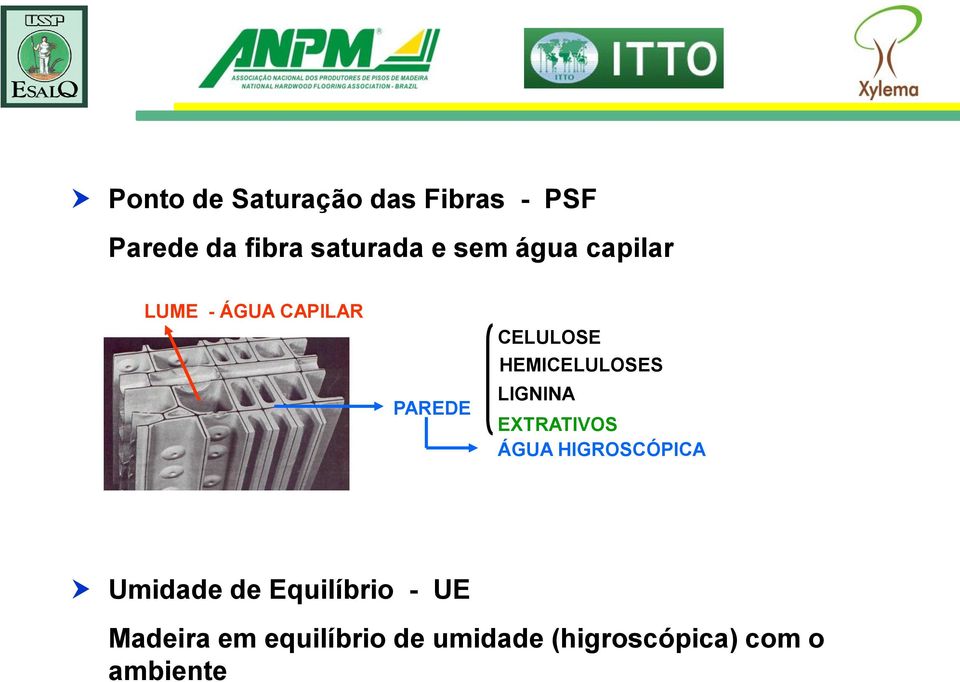 HEMICELULOSES LIGNINA EXTRATIVOS ÁGUA HIGROSCÓPICA Umidade de