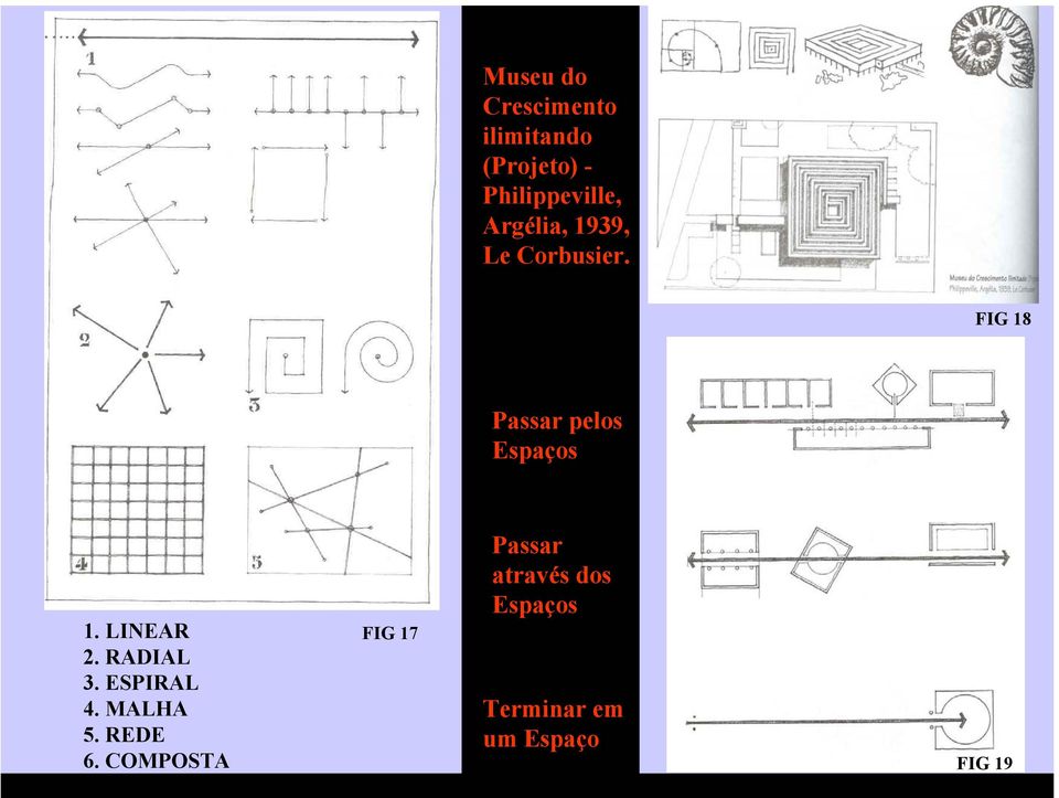 LINEAR 2. RADIAL 3. ESPIRAL 4. MALHA 5. REDE 6.