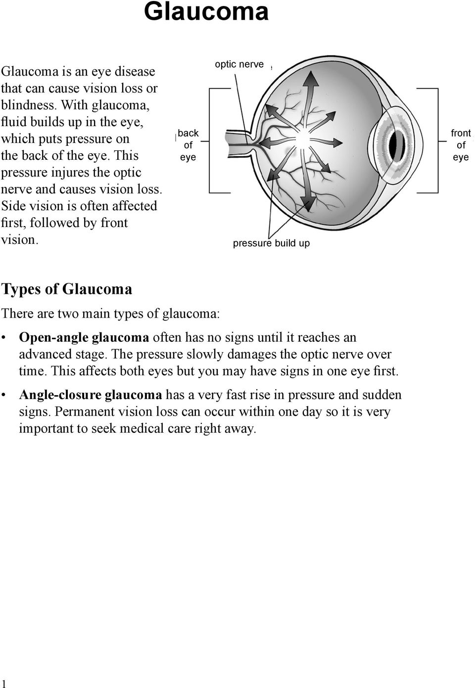 back of eye optic nerve pressure build up front of eye Types of Glaucoma There are two main types of glaucoma: Open-angle glaucoma often has no signs until it reaches an advanced stage.