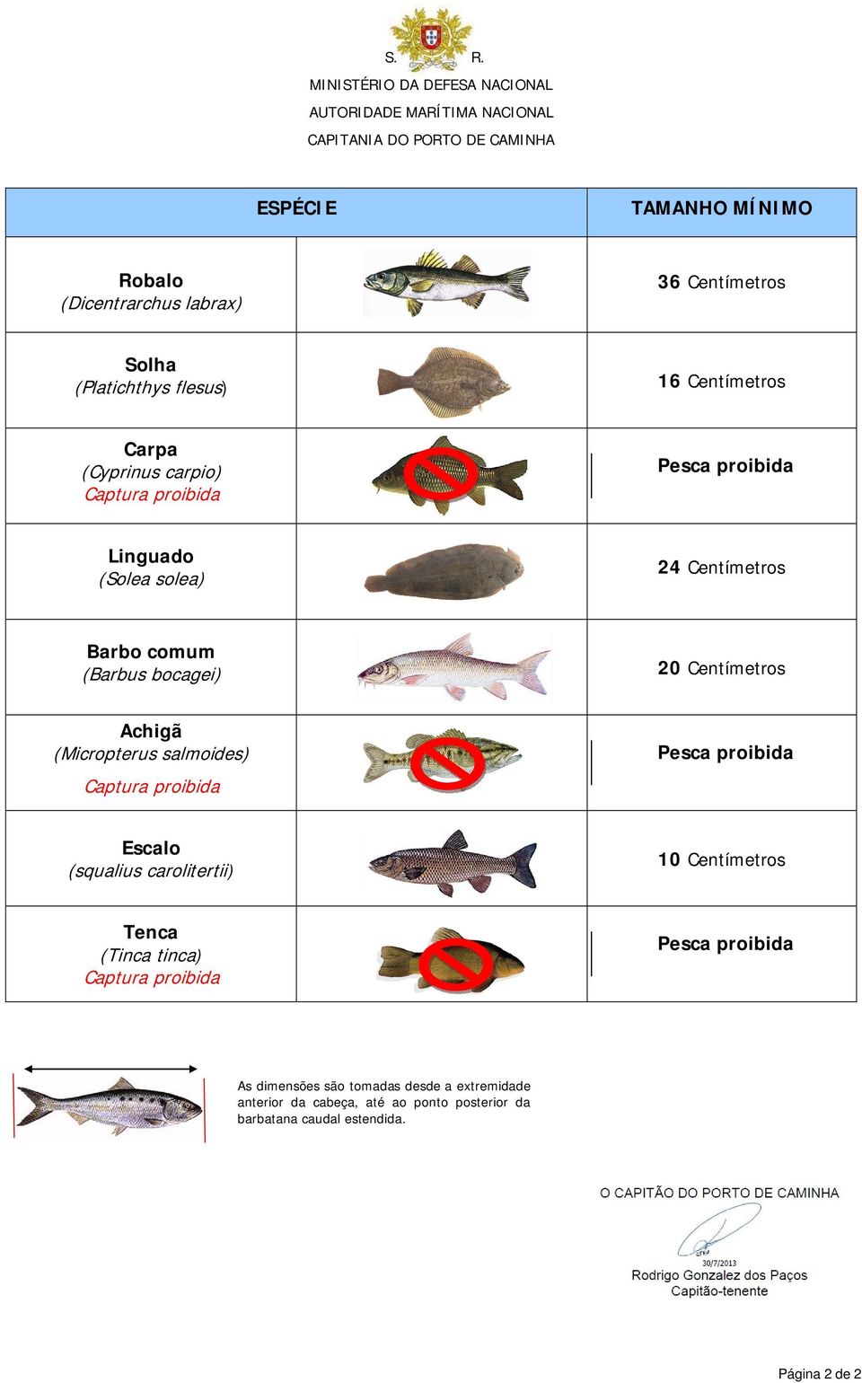 salmoides) Captura proibida Pesca proibida Escalo (squalius carolitertii) 10 Centímetros Tenca (Tinca tinca) Captura proibida Pesca