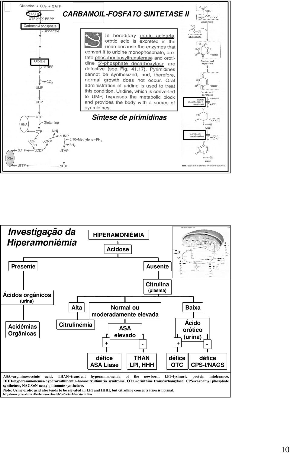 hyperammonemia of the newborn, LPI=lysinuric protein intolerance, HHH=hyperammonemia-hyperornithinemia-homocitrullinuria syndrome, OTC=ornithine transcarbamylase, CPS=carbamyl phosphate synthetase,