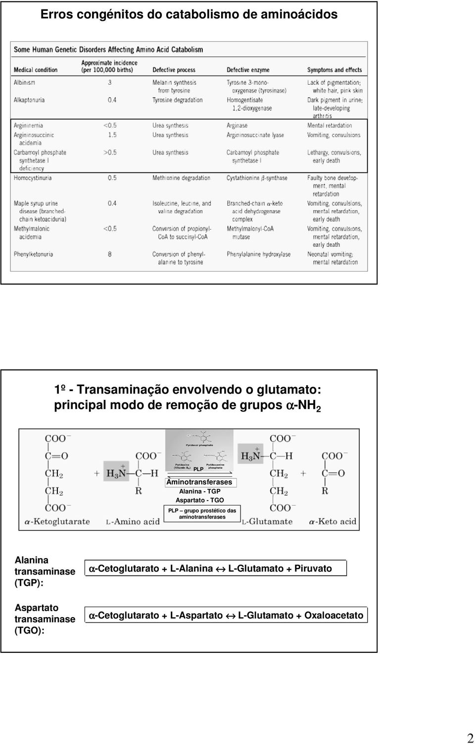 grupo prostético das aminotransferases Alanina transaminase (TGP): α-cetoglutarato + L-Alanina