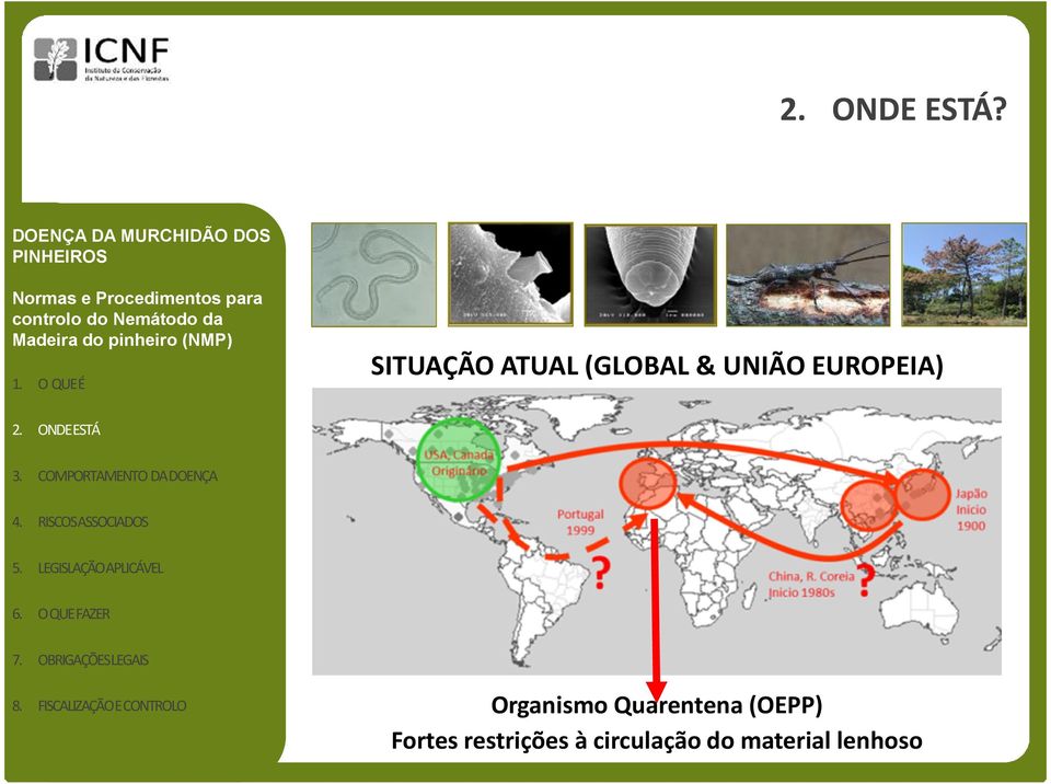 Quarentena (OEPP) Fortes