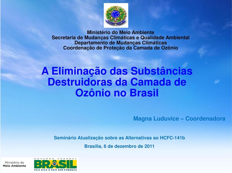 Eliminação das Substâncias Destruidoras da Camada de Ozônio no Brasil Magna Luduvice