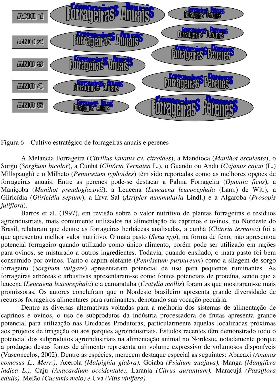 ) Millspaugh) e o Milheto (Pennisetum typhoides) têm sido reportadas como as melhores opções de forrageiras anuais.