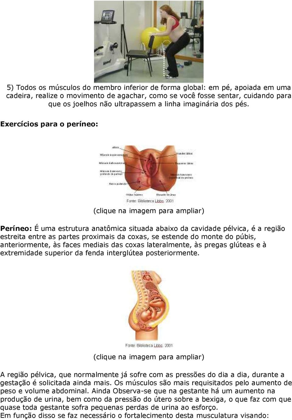 Exercícios para o períneo: Períneo: É uma estrutura anatômica situada abaixo da cavidade pélvica, é a região estreita entre as partes proximais da coxas, se estende do monte do púbis, anteriormente,