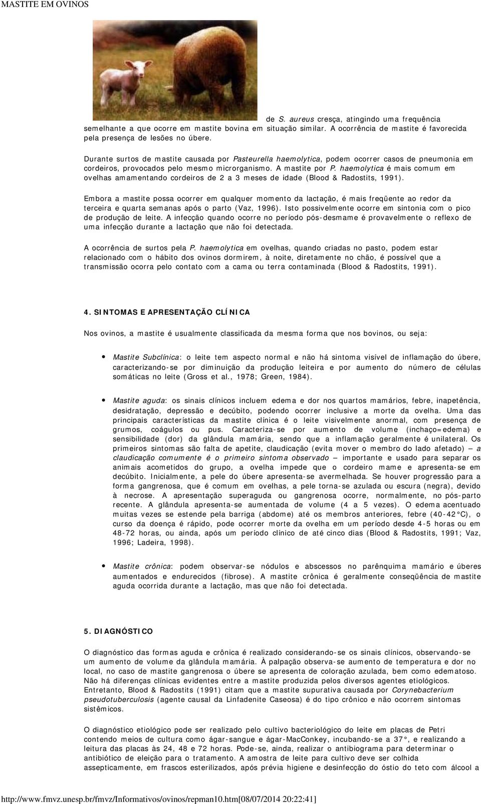 haemolytica é mais comum em ovelhas amamentando cordeiros de 2 a 3 meses de idade (Blood & Radostits, 1991).