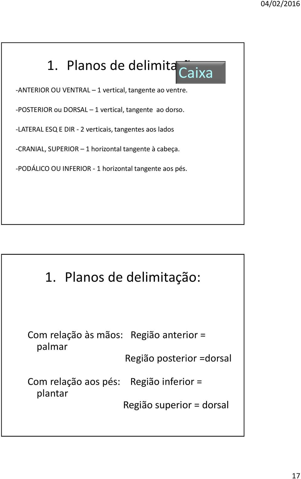 -LATERAL ESQ E DIR - 2 verticais, tangentes aos lados -CRANIAL, SUPERIOR 1 horizontal tangente à cabeça.