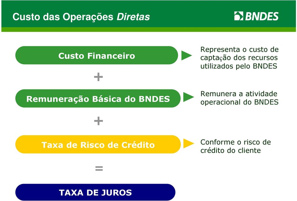 captação dos recursos utilizados pelo BNDES Remunera a atividade