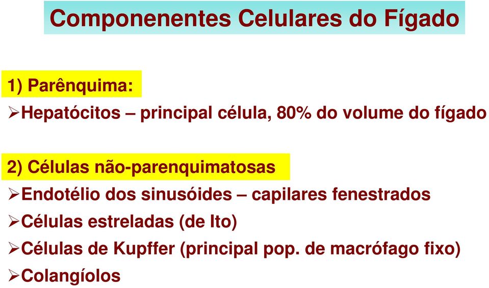 não-parenquimatosas Endotélio dos sinusóides capilares fenestrados