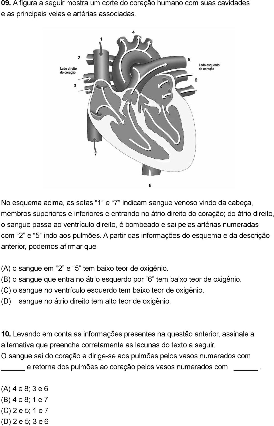 é bombeado e sai pelas artérias numeradas com 2 e 5 indo aos pulmões. A partir das informações do esquema e da descrição anterior, podemos afirmar que.