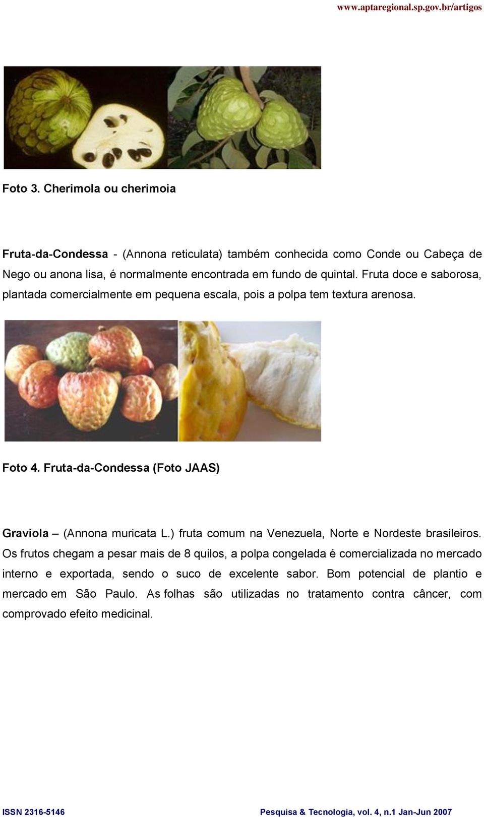 Fruta doce e saborosa, plantada comercialmente em pequena escala, pois a polpa tem textura arenosa. Foto 4. Fruta-da-Condessa (Foto JAAS) Graviola (Annona muricata L.