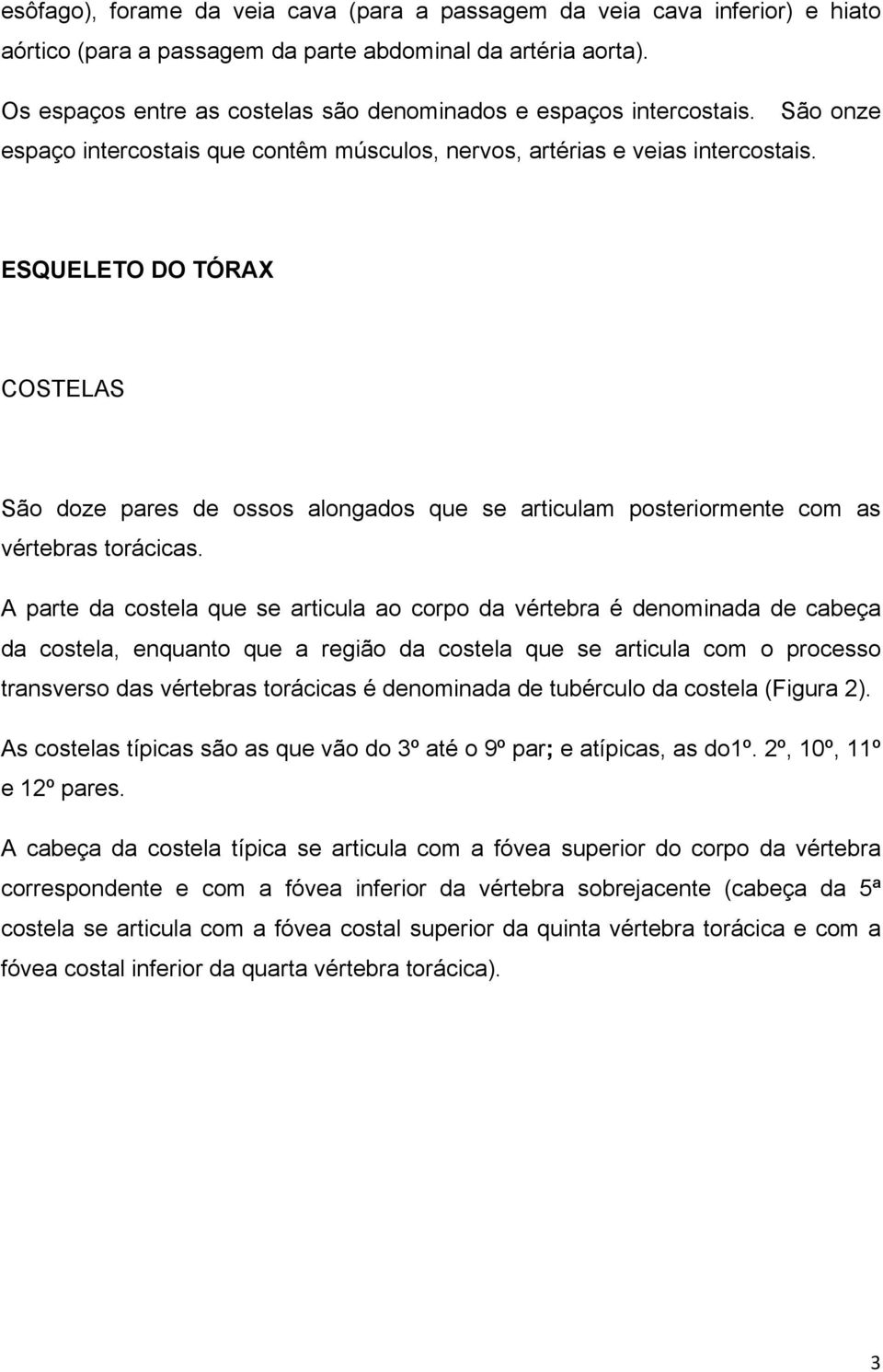 ESQUELETO DO TÓRAX COSTELAS São doze pares de ossos alongados que se articulam posteriormente com as vértebras torácicas.