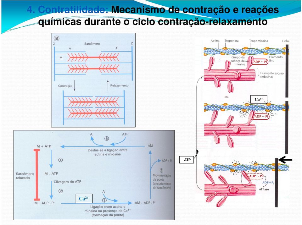 reações químicas durante o