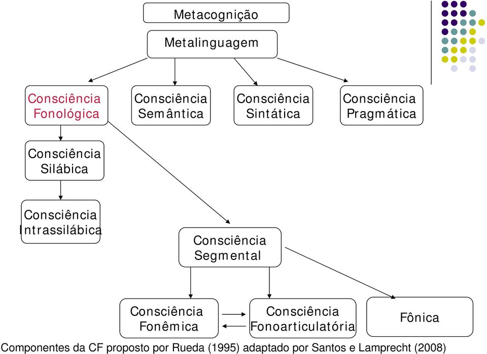 Intrassilábica Consciência Segmental Consciência Fonêmica Consciência