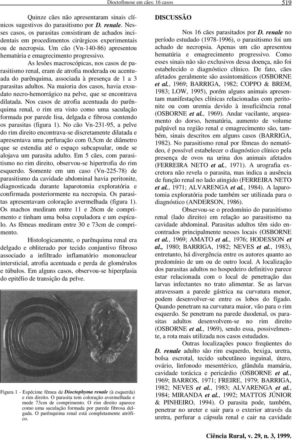 As lesões macroscópicas, nos casos de parasitismo renal, eram de atrofia moderada ou acentuada do parênquima, associada à presença de 1 a 3 parasitas adultos.