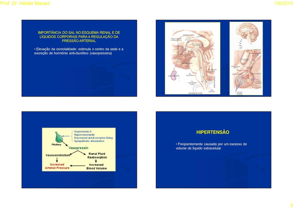 CORPORAIS PARA A REGULAÜáO DA PRESSáO ARTERIAL ElevaÑÖo da osmolalidade: