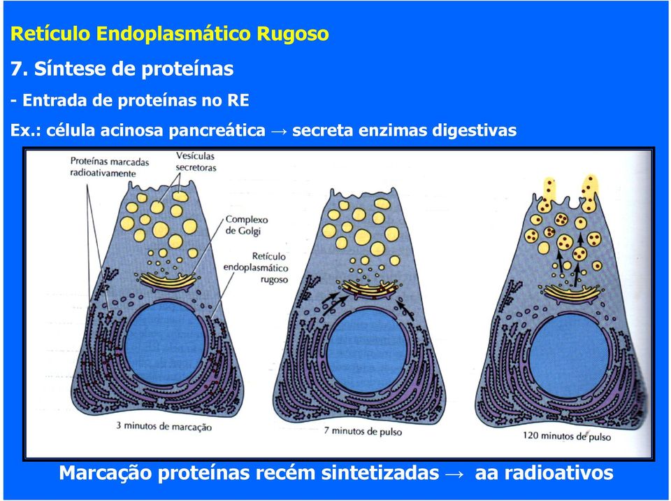 RE Ex.