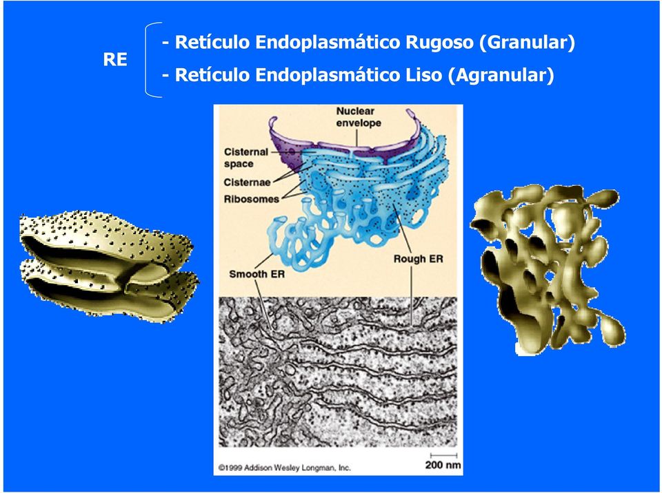 (Granular) - Retículo