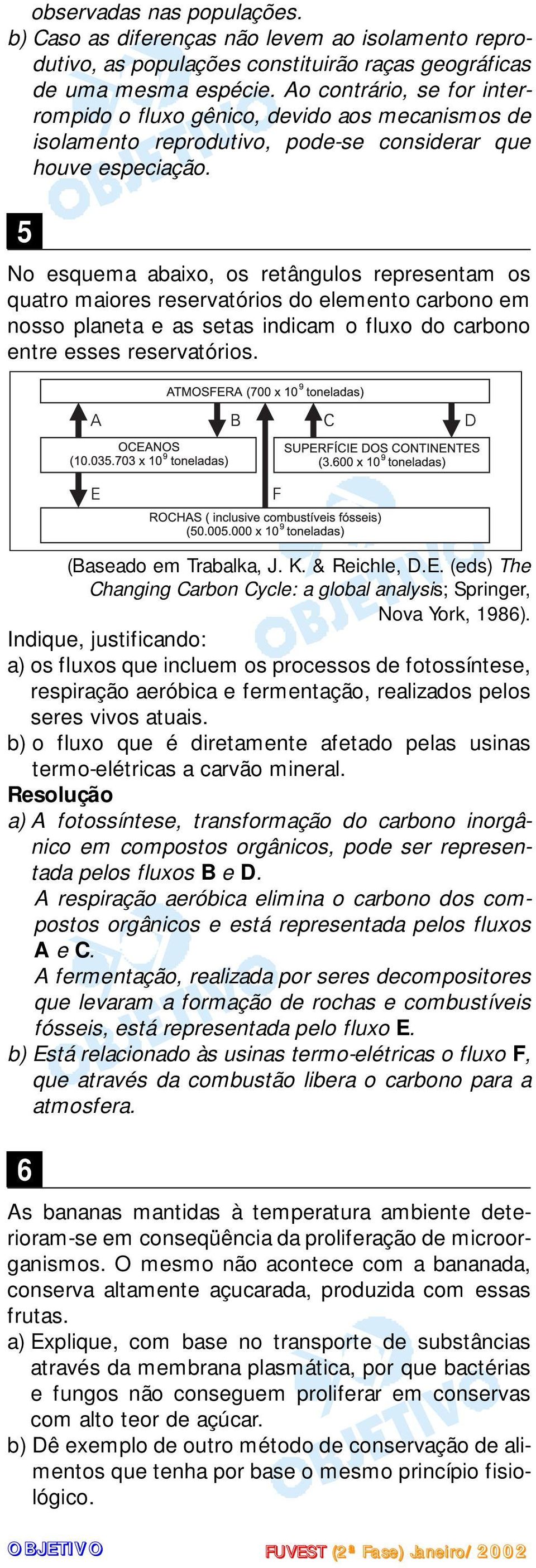 5 No esquema abaixo, os retângulos representam os quatro maiores reservatórios do elemento carbono em nosso planeta e as setas indicam o fluxo do carbono entre esses reservatórios.