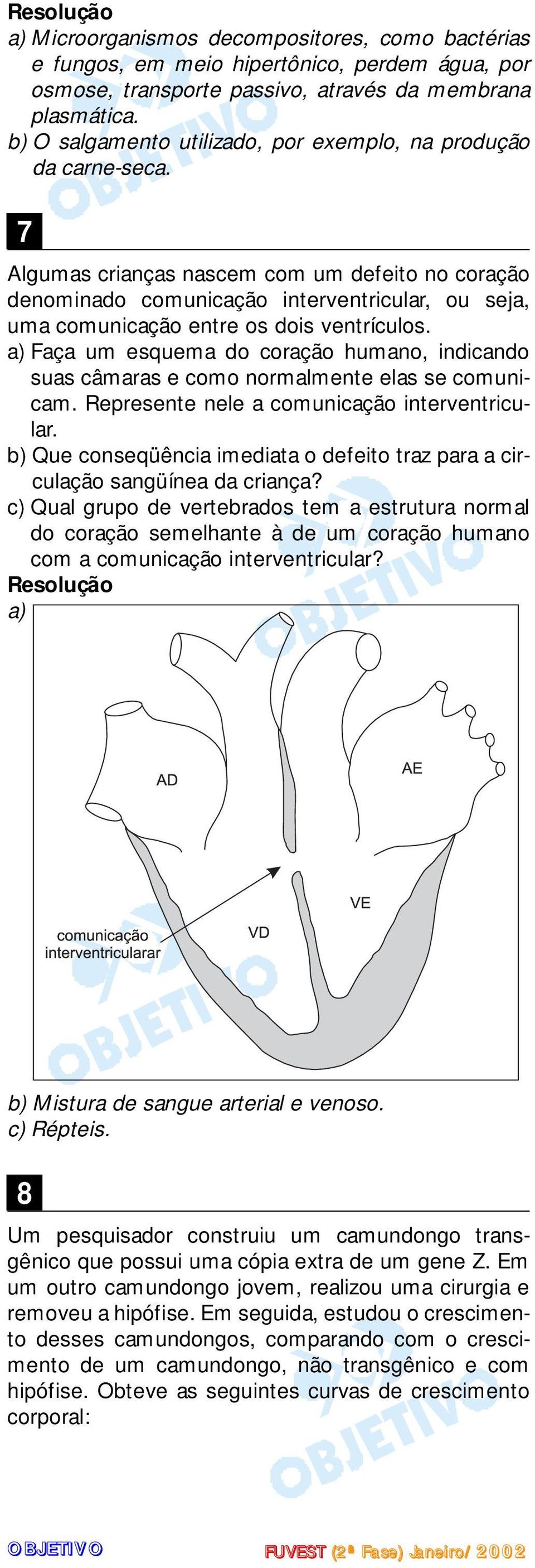 7 Algumas crianças nascem com um defeito no coração denominado comunicação interventricular, ou seja, uma comunicação entre os dois ventrículos.