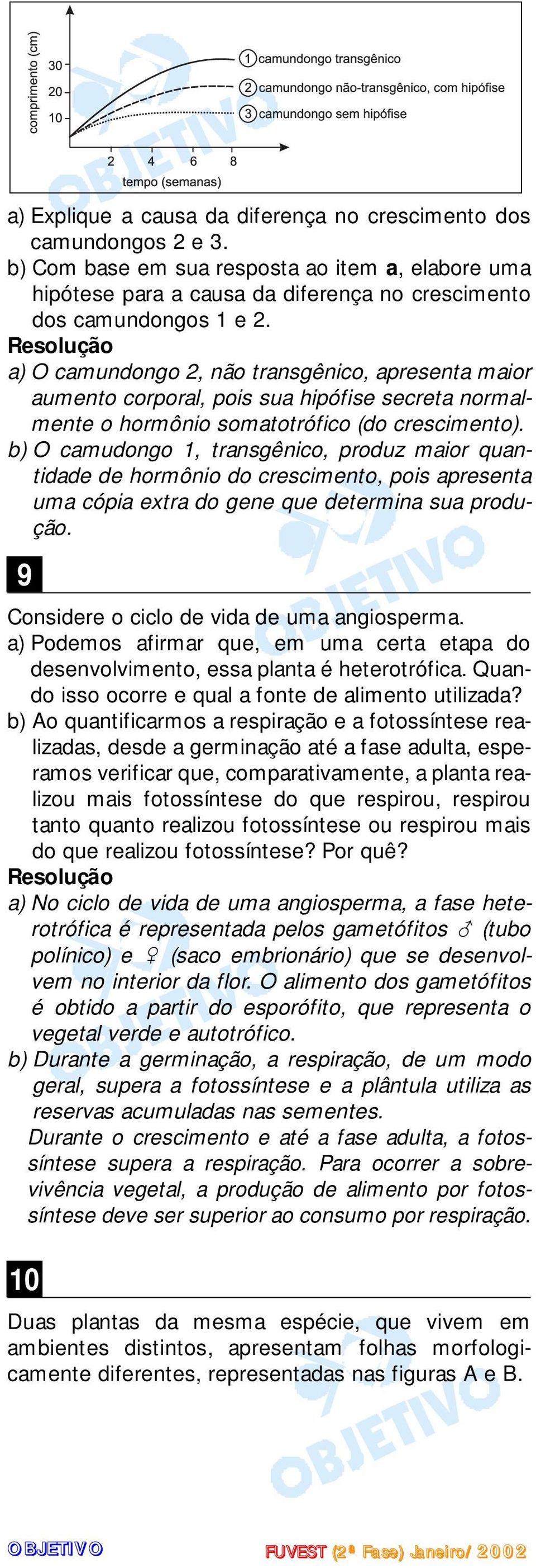 b) O camudongo 1, transgênico, produz maior quantidade de hormônio do crescimento, pois apresenta uma cópia extra do gene que determina sua produção. 9 Considere o ciclo de vida de uma angiosperma.