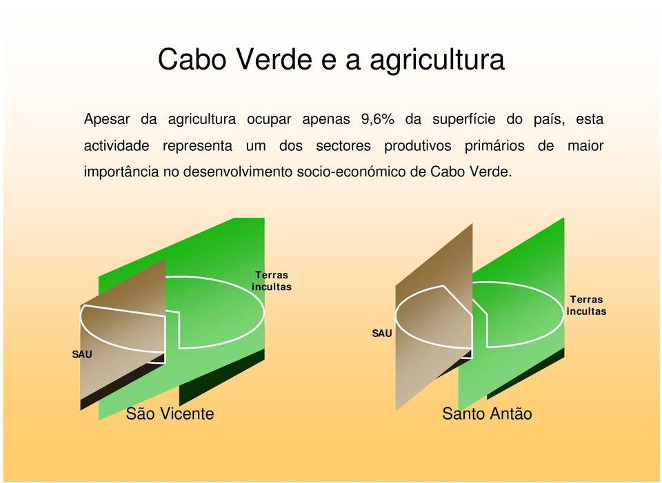 produtivos primários de maior importância no desenvolvimento