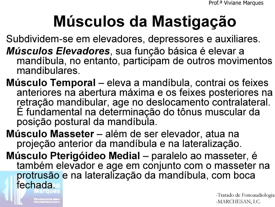 Músculo Temporal eleva a mandíbula, contrai os feixes anteriores na abertura máxima e os feixes posteriores na retração mandibular, age no deslocamento contralateral.