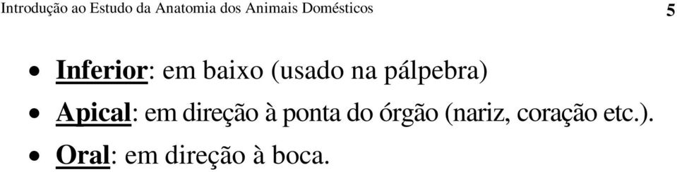 pálpebra) Apical: em direção à ponta do