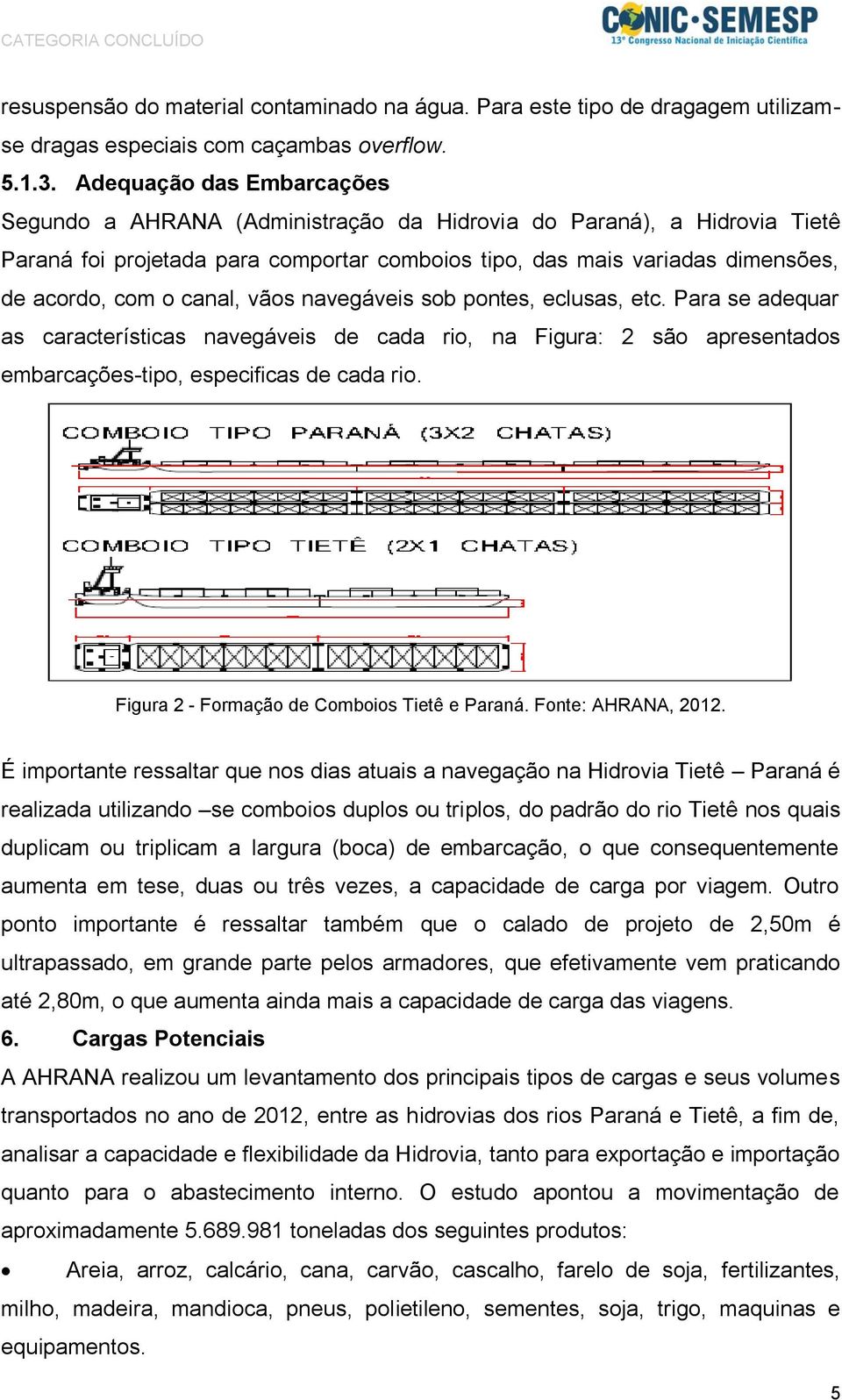 canal, vãos navegáveis sob pontes, eclusas, etc. Para se adequar as características navegáveis de cada rio, na Figura: 2 são apresentados embarcações-tipo, especificas de cada rio.