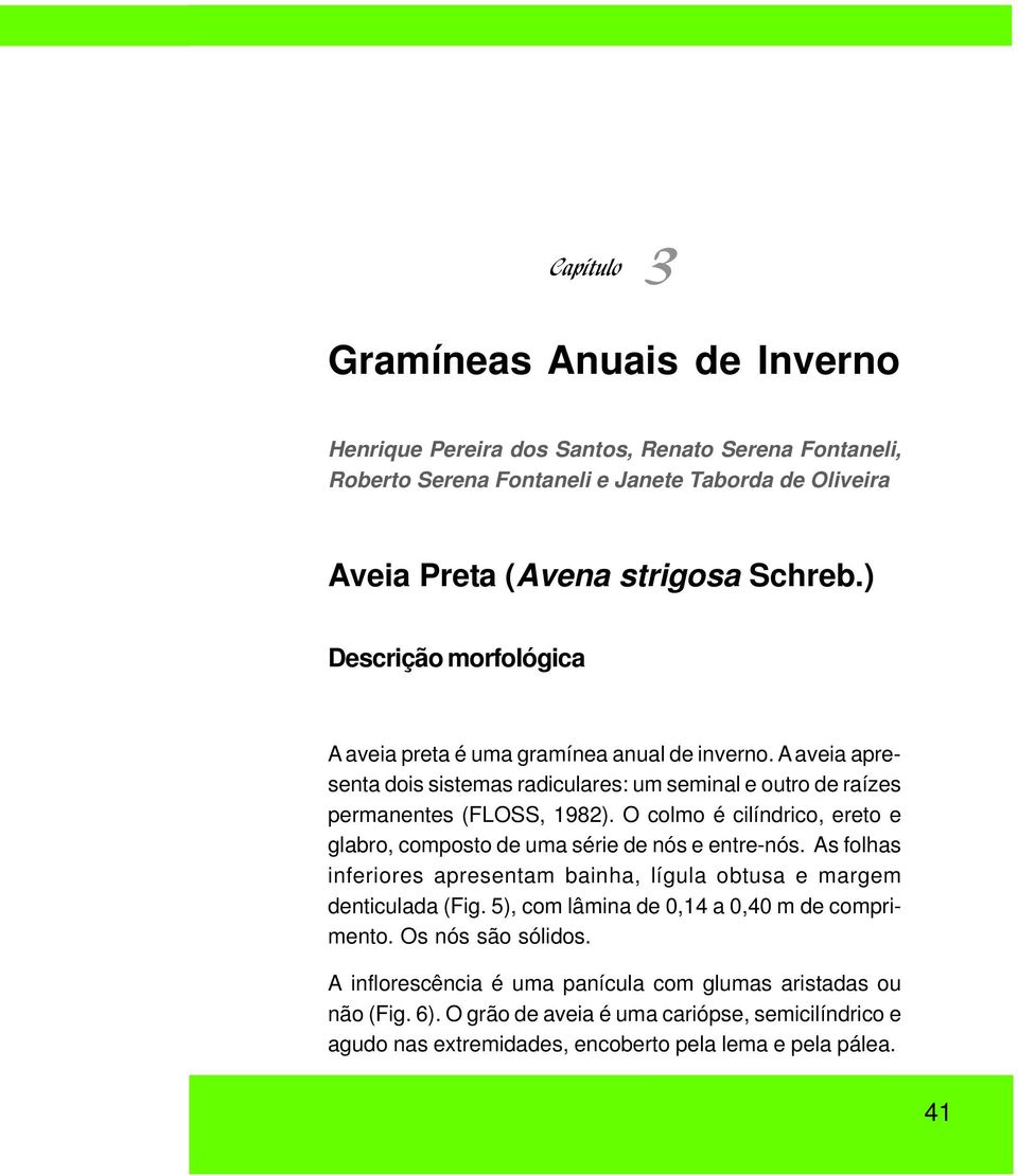 O colmo é cilíndrico, ereto e glabro, composto de uma série de nós e entre-nós. As folhas inferiores apresentam bainha, lígula obtusa e margem denticulada (Fig.