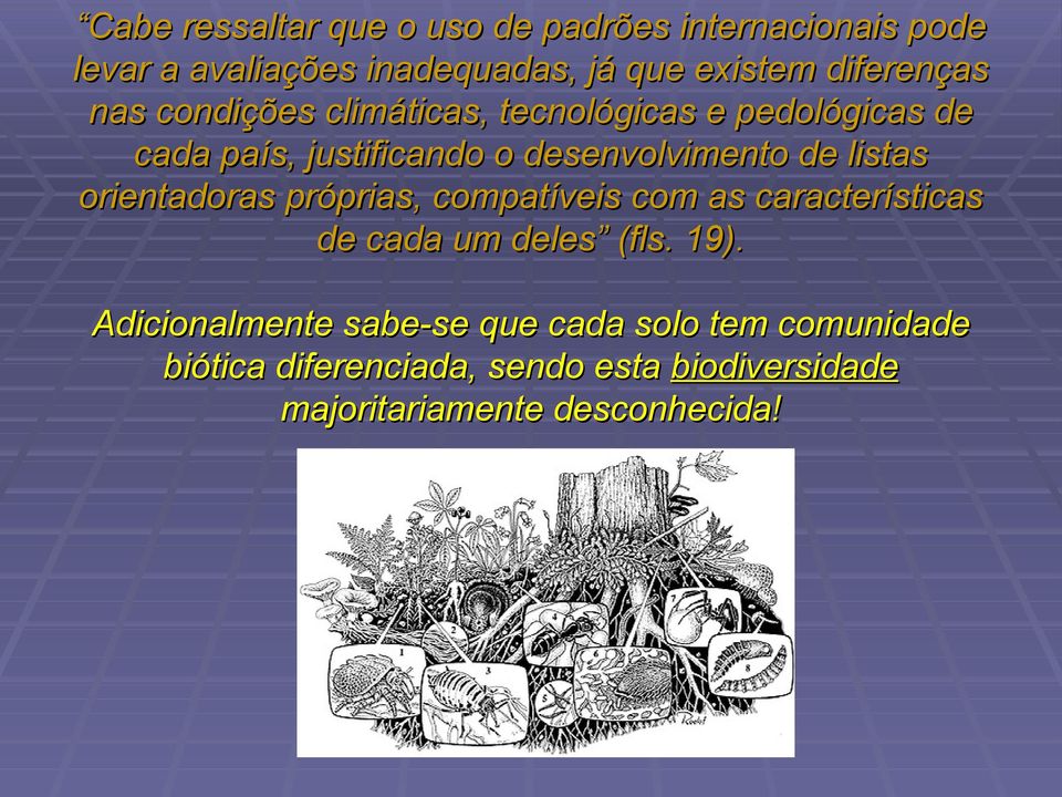 de listas orientadoras próprias, compatíveis com as características de cada um deles (fls. 19).