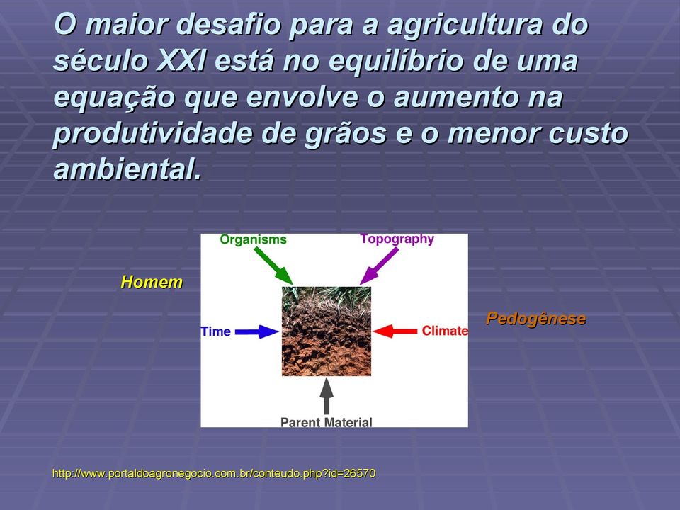 produtividade de grãos e o menor custo ambiental.