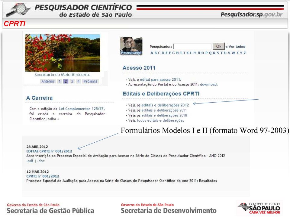 Formulários Modelos I e