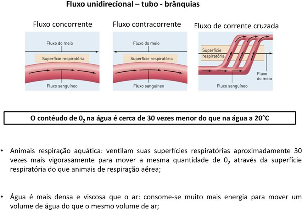 aproximadamente 30 vezes mais vigorasamente para mover a mesma quantidade de 0 2 através da superfície respiratória do que