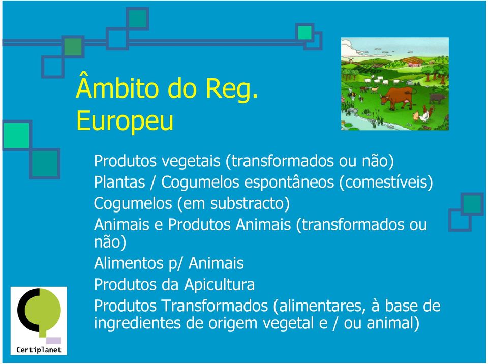 (comestíveis) Cogumelos (em substracto) Animais e Produtos Animais