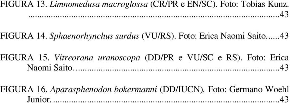 ... 43 FIGURA 15. Vitreorana uranoscopa (DD/PR e VU/SC e RS).