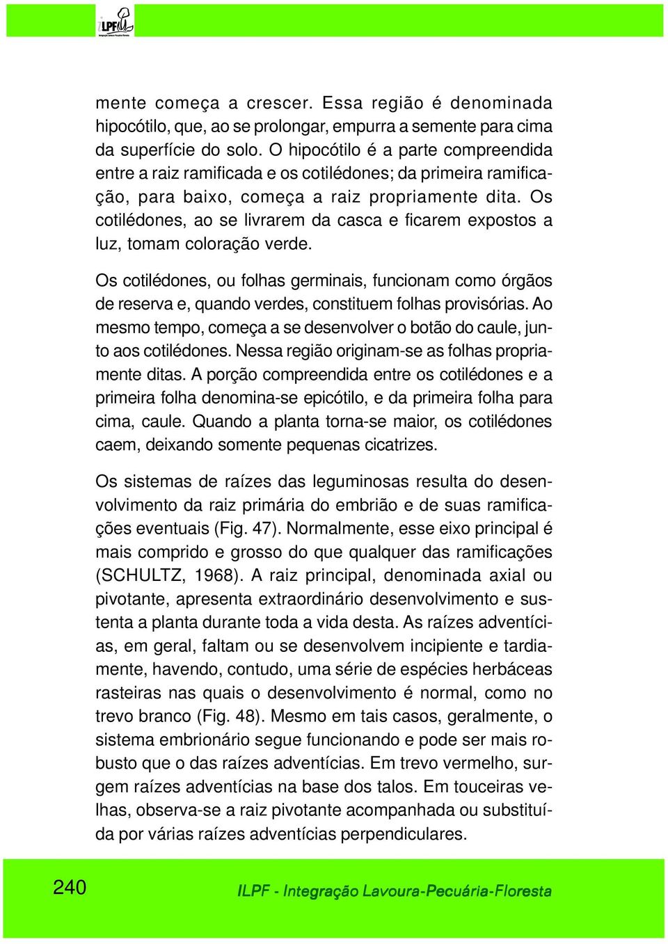 Os cotilédones, ao se livrarem da casca e ficarem expostos a luz, tomam coloração verde.