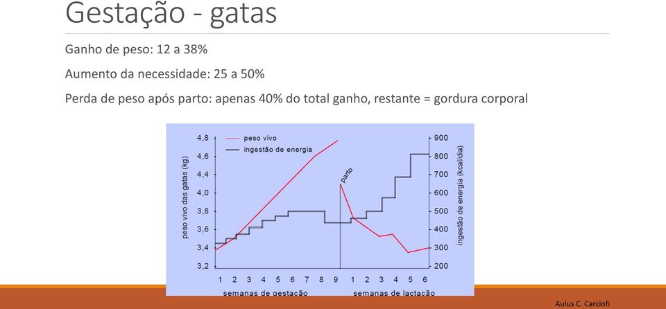 peso após parto: apenas 40% do total