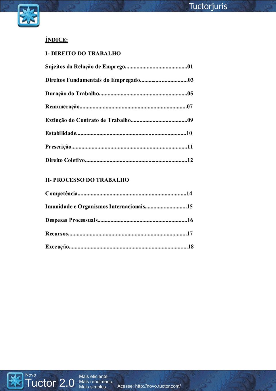 ..10 Prescrição...11 Direito Coletivo...12 II- PROCESSO DO TRABALHO Competência.