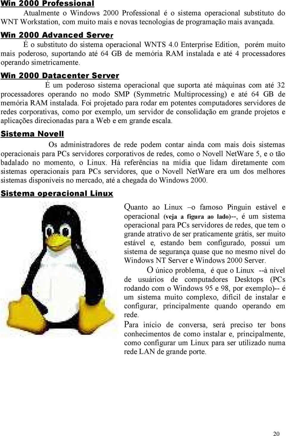 0 Enterprise Edition, porém muito mais poderoso, suportando até 64 GB de memória RAM instalada e até 4 processadores operando simetricamente.