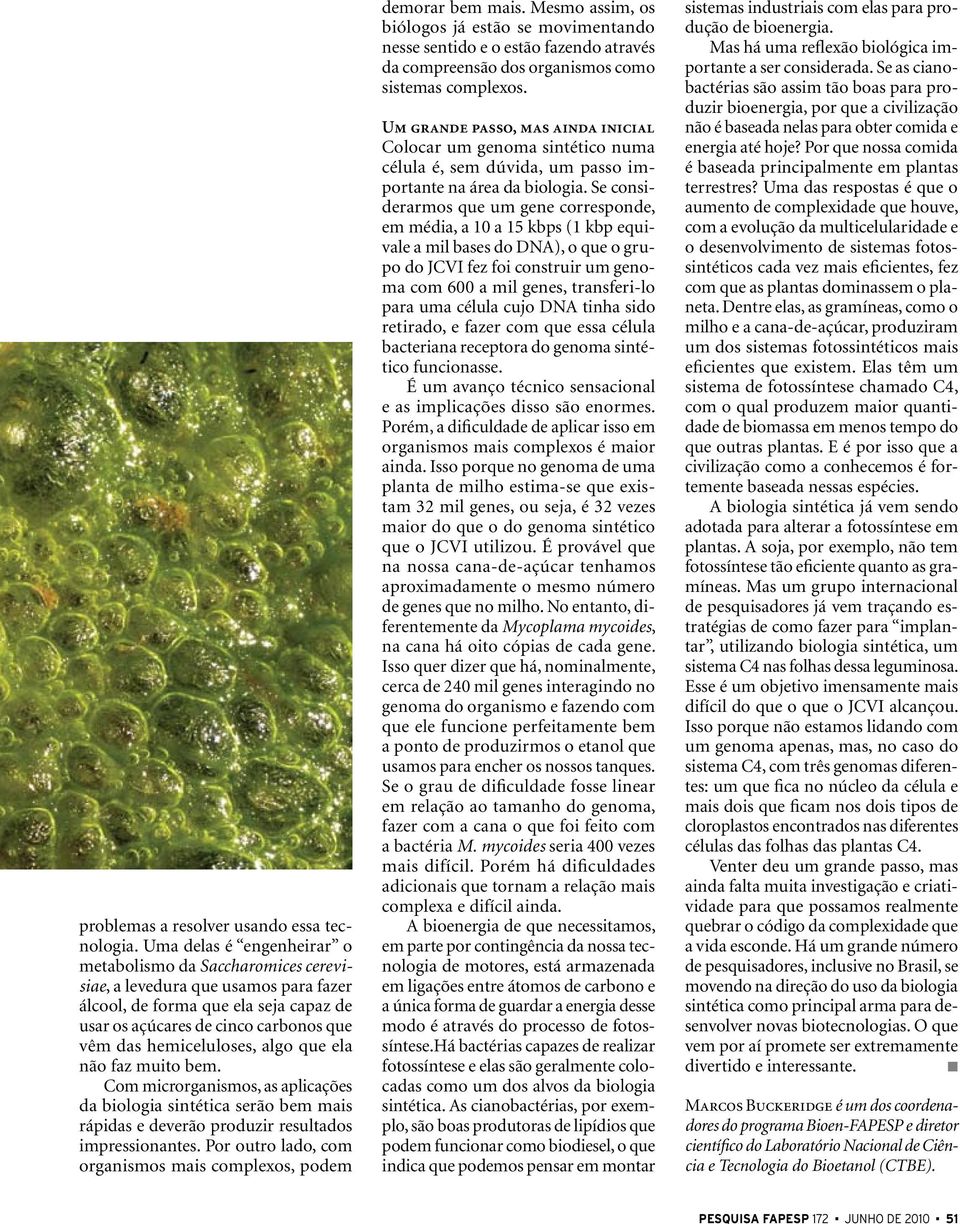 hemiceluloses, algo que ela não faz muito bem. Com microrganismos, as aplicações da biologia sintética serão bem mais rápidas e deverão produzir resultados impressionantes.